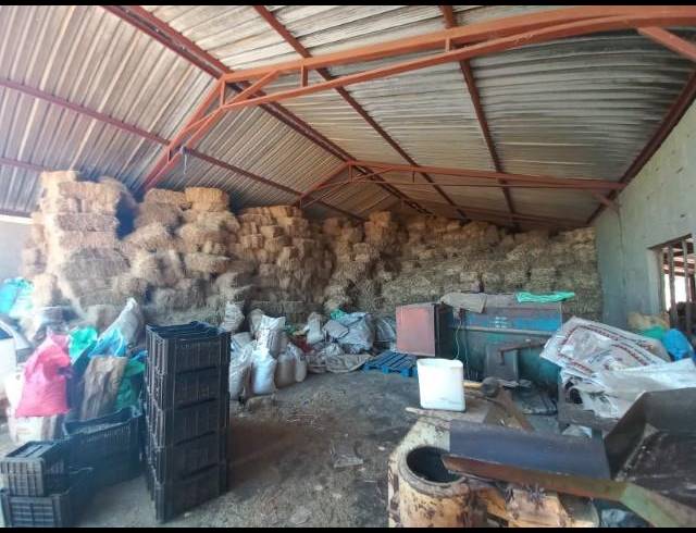 FARM FOR SALE IN WATERPOORT